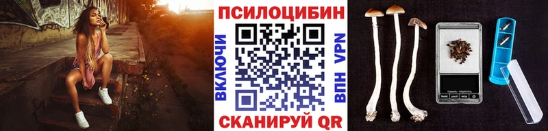 Псилоцибиновые грибы Cubensis mega как войти Выборг